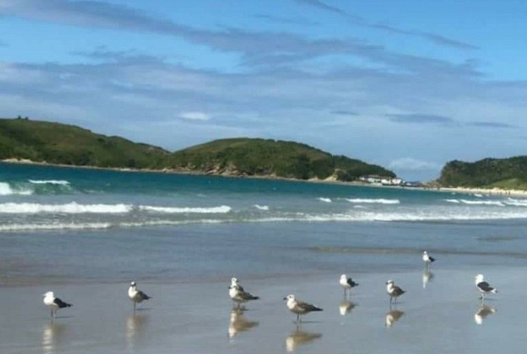 Cabo Frio: Praia, Amplo e Aconchegante!