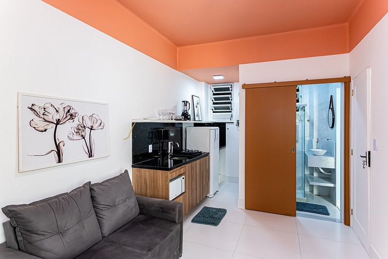 Luxury 2-bedroom apartment on Barata Ribeiro St