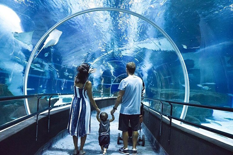 Yes Temporada - Qualidade de Hotel, Precio de Temporada