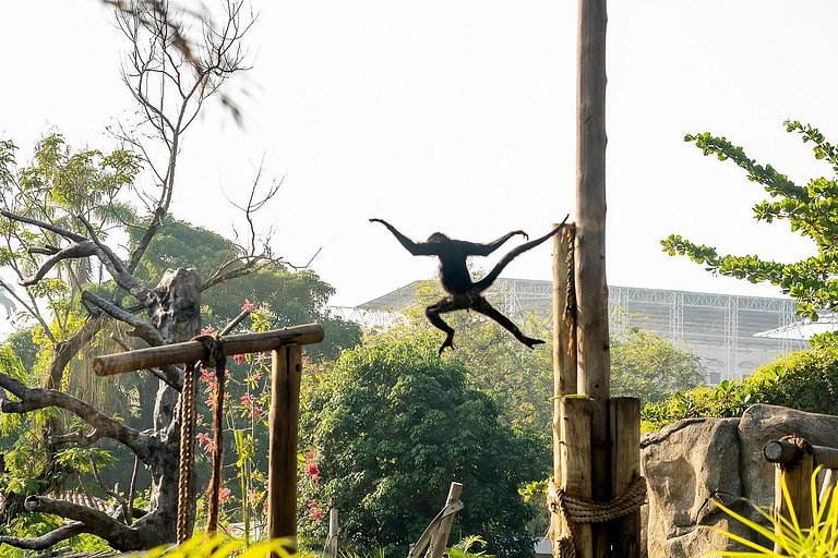 Copacabana: Redeemer View and Comfort for 3