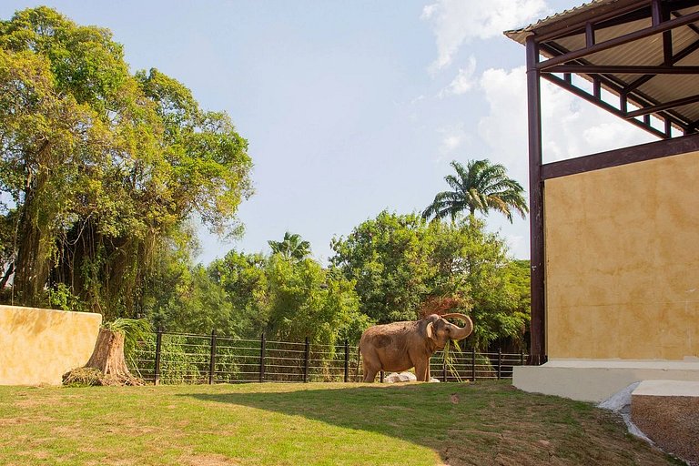 Copacabana: Redeemer View and Comfort for 3