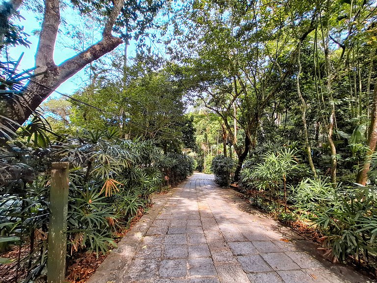 São Conrado - Natureza