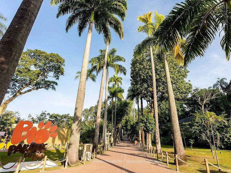 Copacabana Light - Confort + 1 Ticket or Transfer