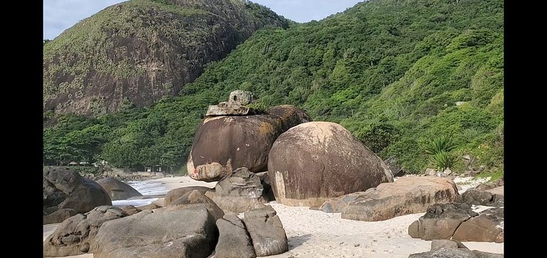 Paraíso do Rio - 5 hospedes, Praia + 1 Transfer