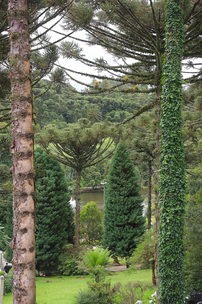 Suíte Gramado: Leisure, family + 1 ticket