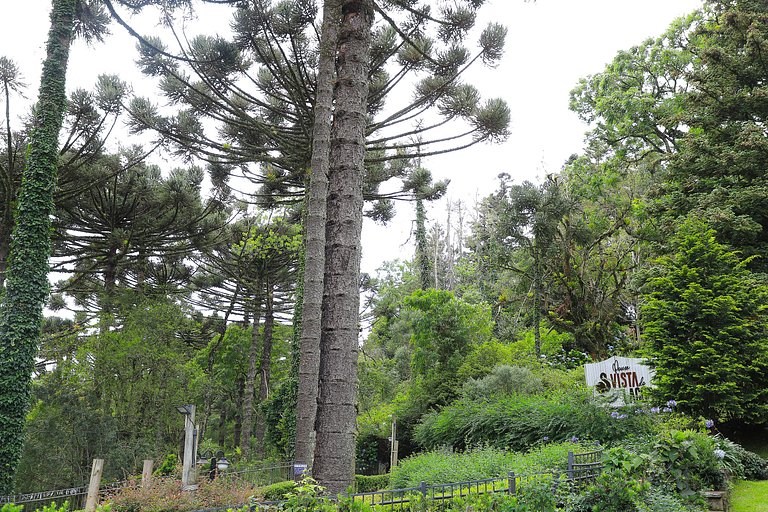 Suíte Gramado: Lazer, família + 1 ticket