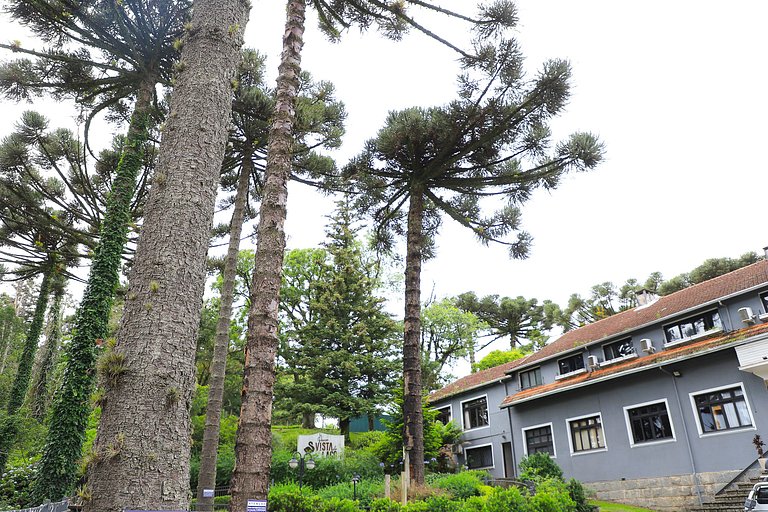Suíte Gramado: Lazer, família + 1 ticket