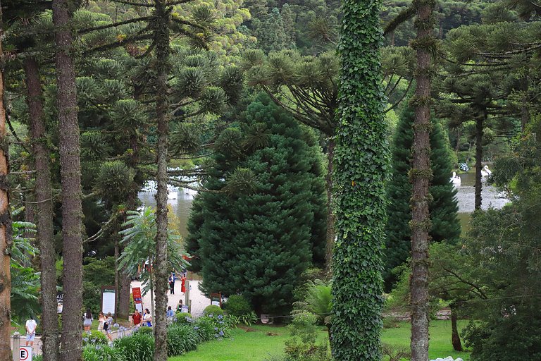 Suíte Gramado: Lazer, família + 1 ticket
