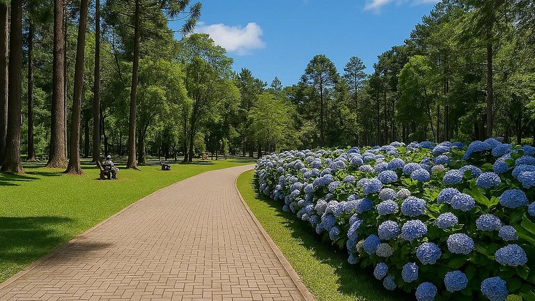 Pousada em Gramado: Lazer e família