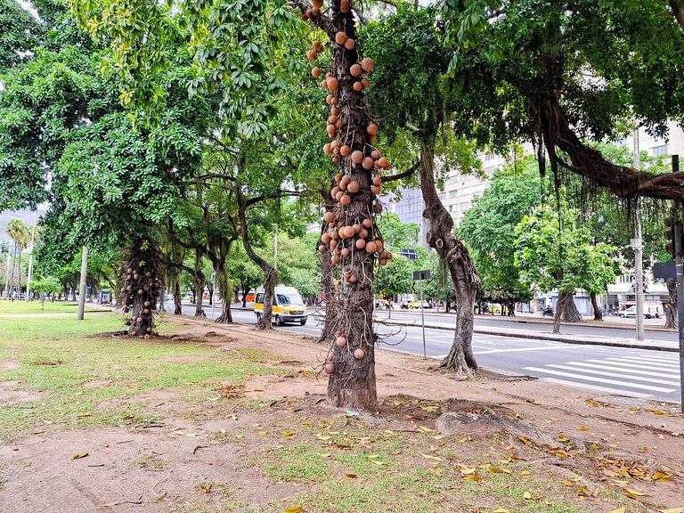 Botafogo: Pão de Açúcar e Conforto | 4 hóspedes
