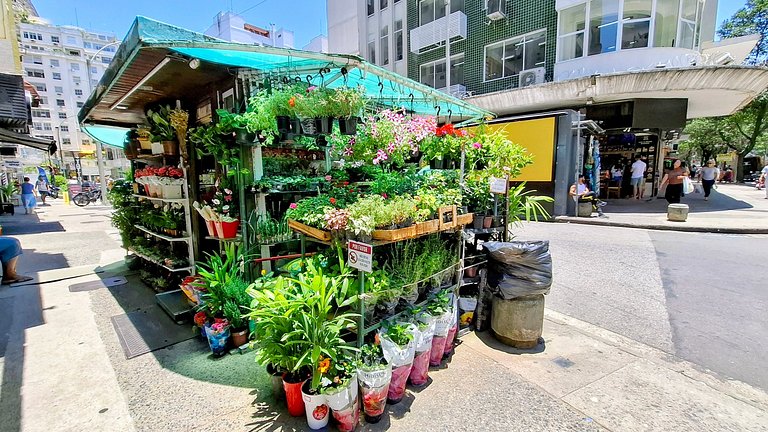 Yes Temporada – Hotel Quality, Season Price