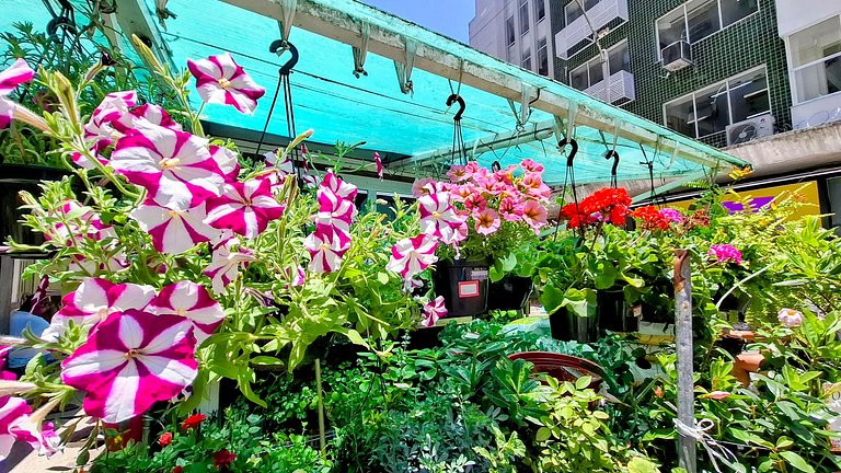 Yes Temporada - Qualidade de Hotel, Preço de Temporada