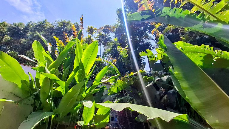 Mirante da Gávea: Floresta e piscina, 2 pessoas