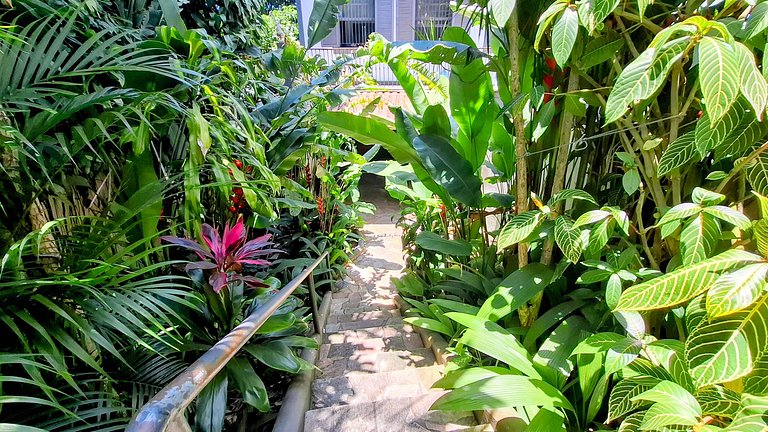 Mirante da Gávea: Floresta e piscina, 2 pessoas