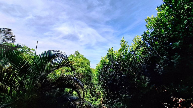 Mirante da Gávea: Bosque, Piscina y Vista para 4