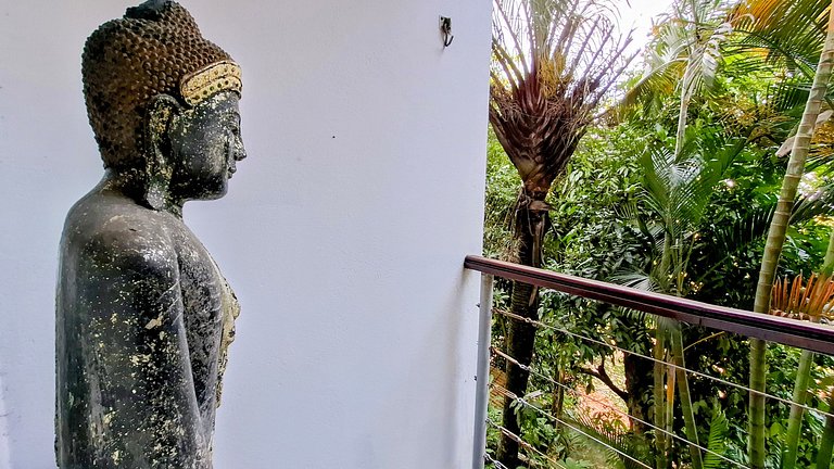 Mirante da Gávea: Floresta, Piscina e Vista para 2