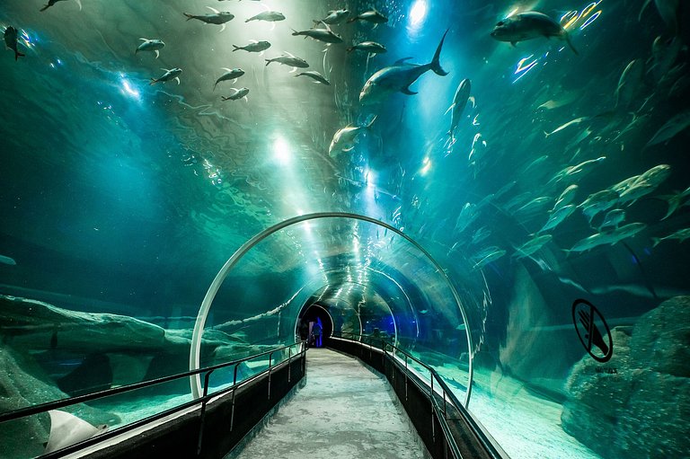 Yes Temporada - Qualidade de Hotel, Preço de Temporada