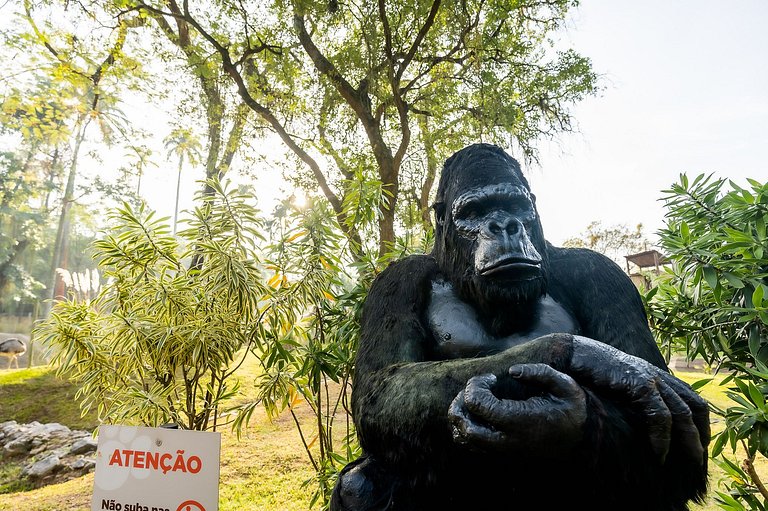 Mirante da Gávea: natureza e piscina, 2 pessoas