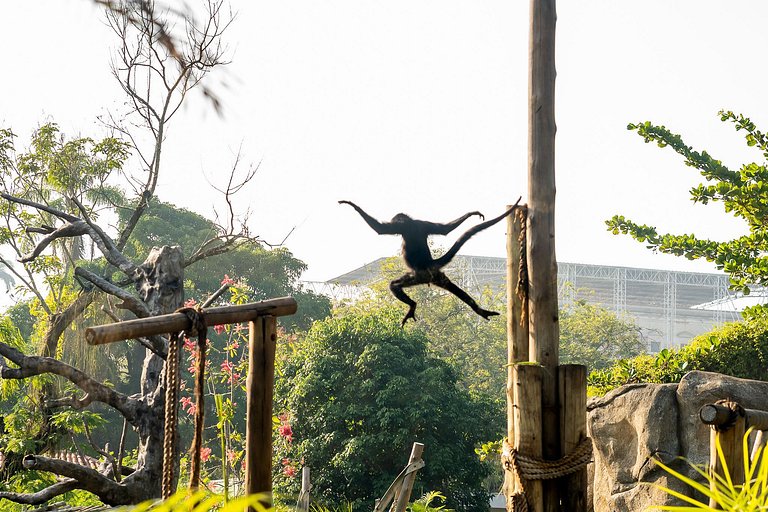 Lapa: Iconic Bohemian Retreat for 4 Guests