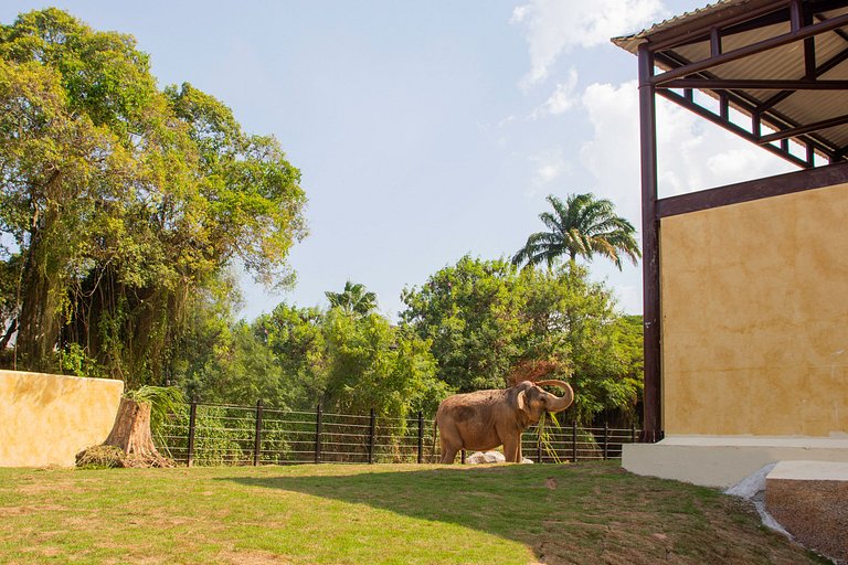 Lapa: Iconic Bohemian and Comfort for 4