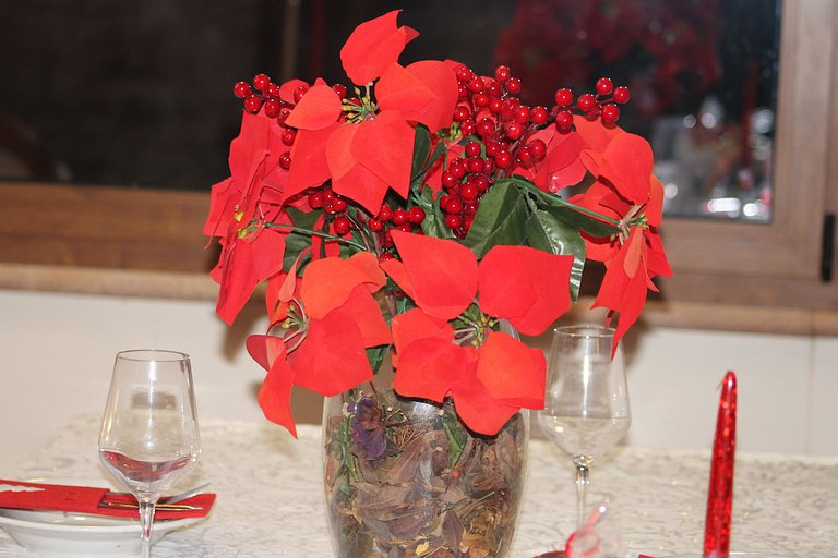 Sardinia: History, Nature, and Comfort for 2