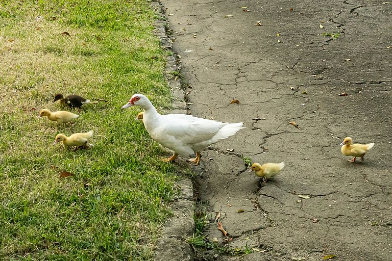 Glória Lux: Subway and Comfort, 3 guests