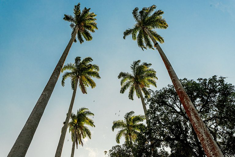 Glória Lux: Subte y Confort, 3 huéspedes
